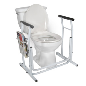 Free-standing Toilet Safety Rail